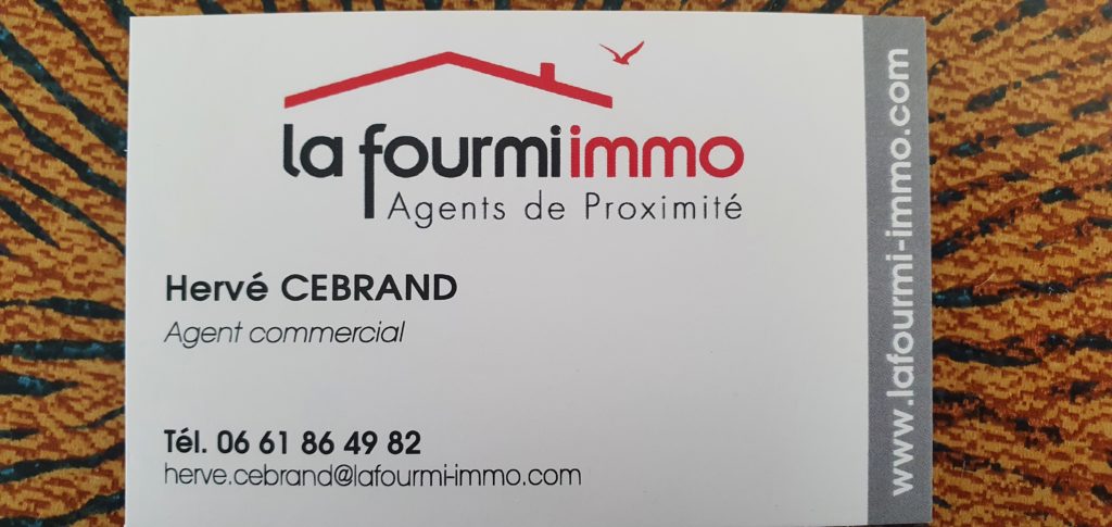 carte de visite fourmiimmo