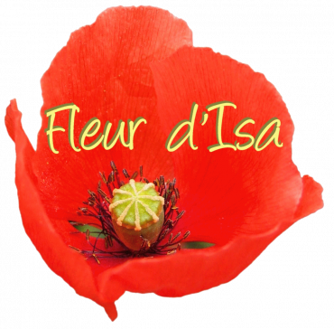 cropped-Logo-Fleurdisa-reduit-fond-transparent-1-370×364